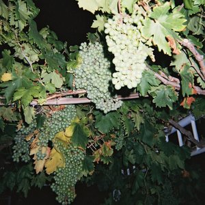 含紧一点H侍卫边做边走视频
